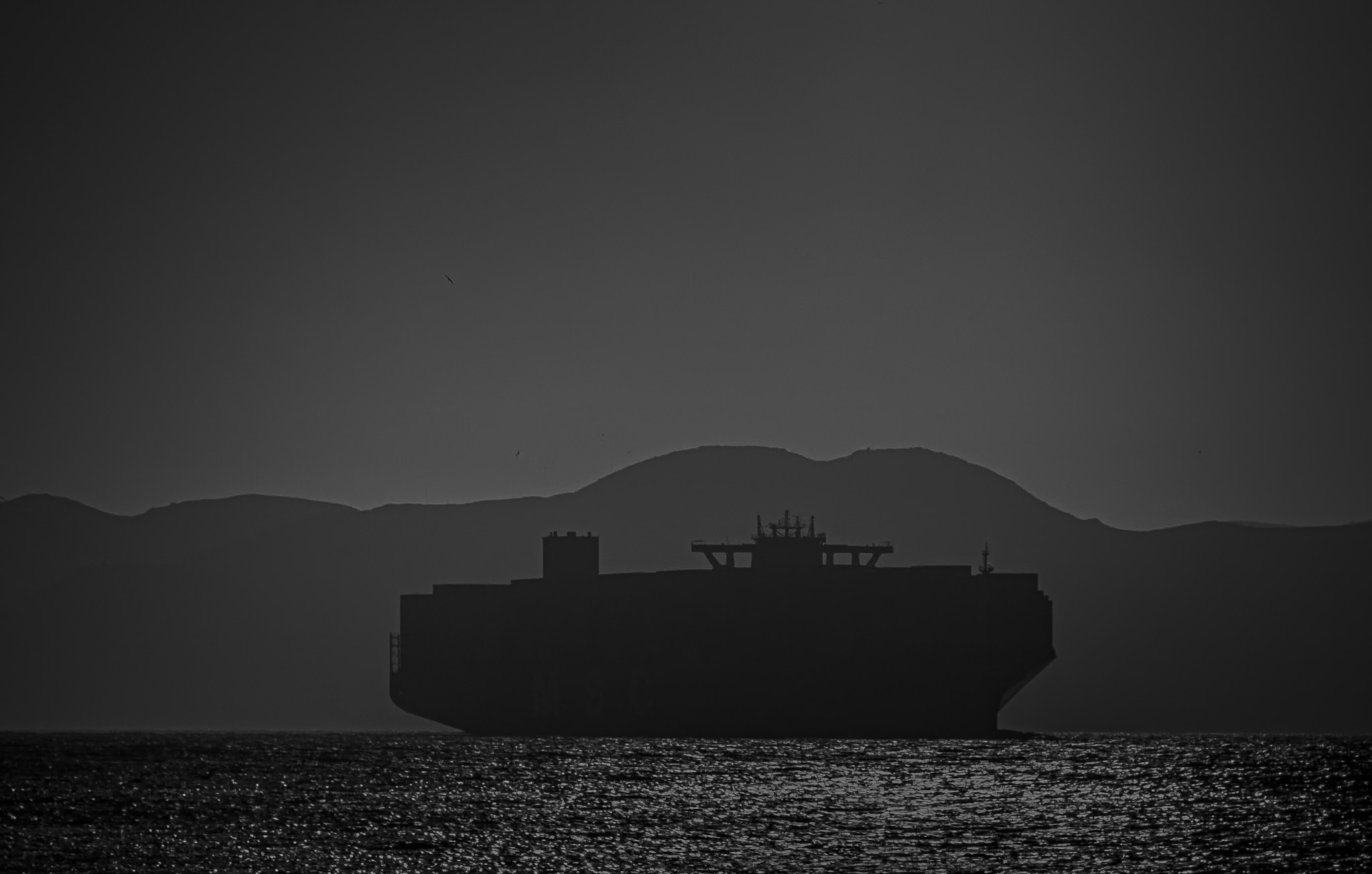 Cargo ship silhouetted against layered hills and shimmering water in black and white